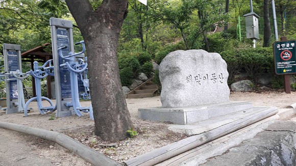 낭자김 이미지