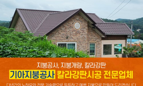 군포칼라 이미지