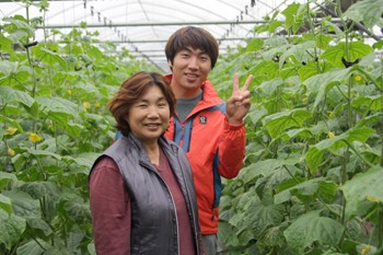 산아래토마토 이미지