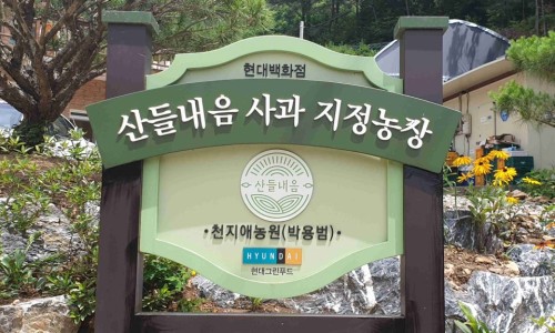 평창해피몰 이미지