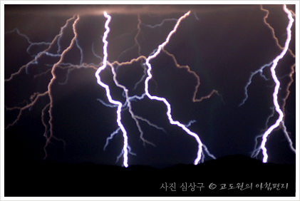 참국수가최 이미지