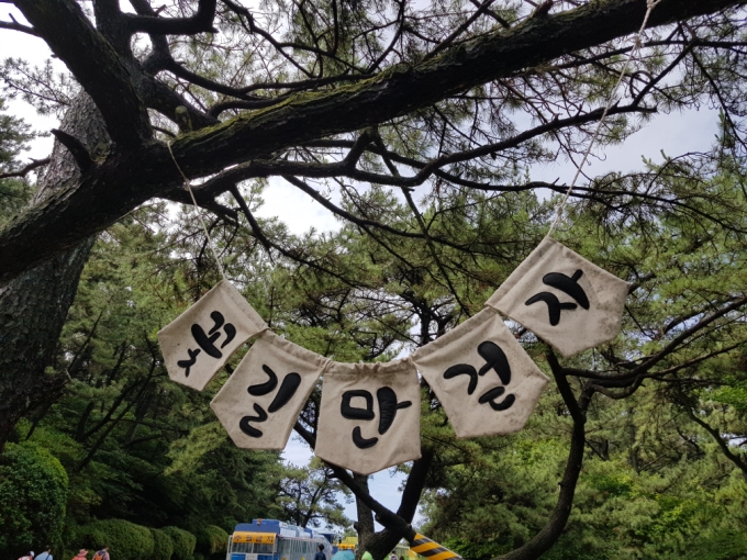 럭키관광여행사 이미지