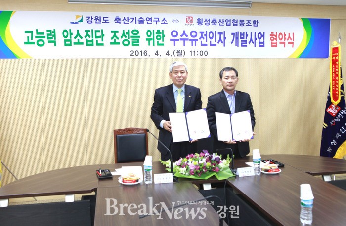 횡성축산 이미지