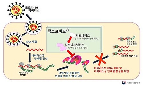 청솔기획인쇄 이미지