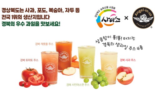법인계수나무 이미지