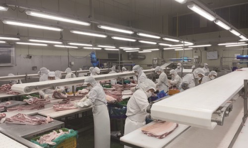 주식회사 남부발전 이미지