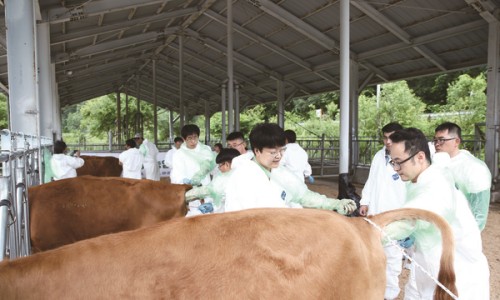 농수축산신문 이미지