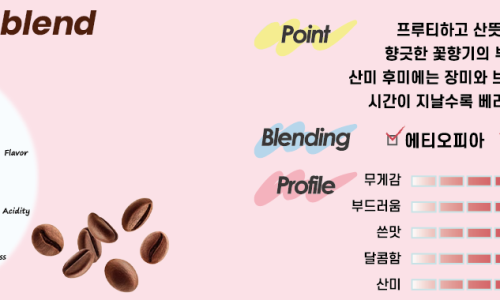 앨리스도넛 이미지