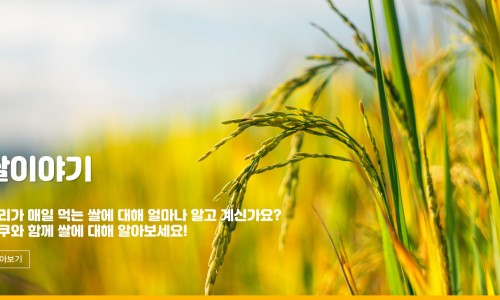 황미로올쿠 이미지