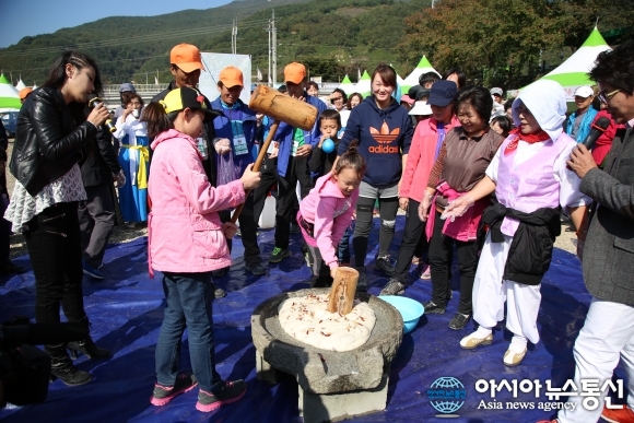 밀양재약산대추 이미지