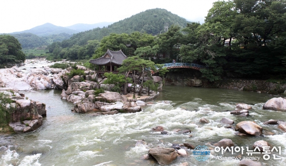 한신흑염소 이미지