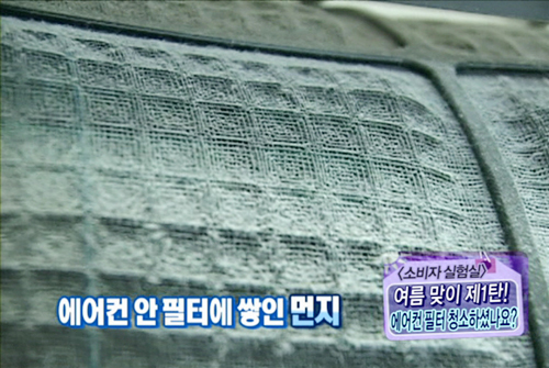 애니크린 이미지
