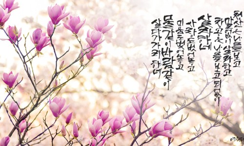 아리랑세탁 이미지