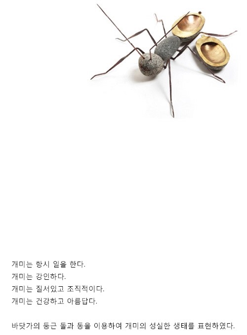 돌쇠갤러리 이미지