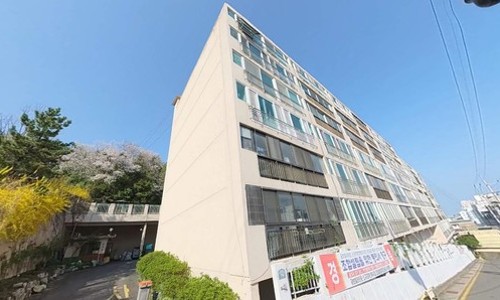 금보 이미지