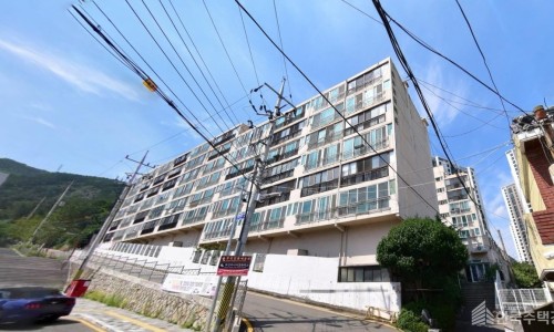 금보 이미지
