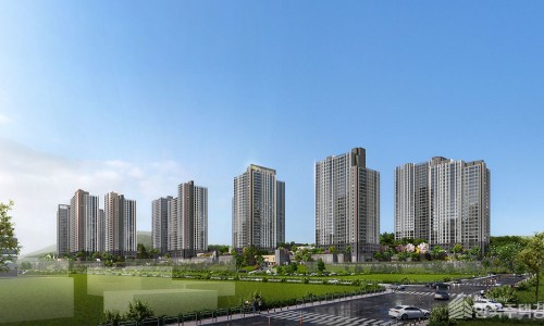 포레스트12 이미지