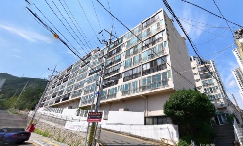 금보 이미지