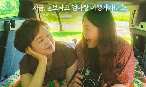 자동차에미치다 이미지