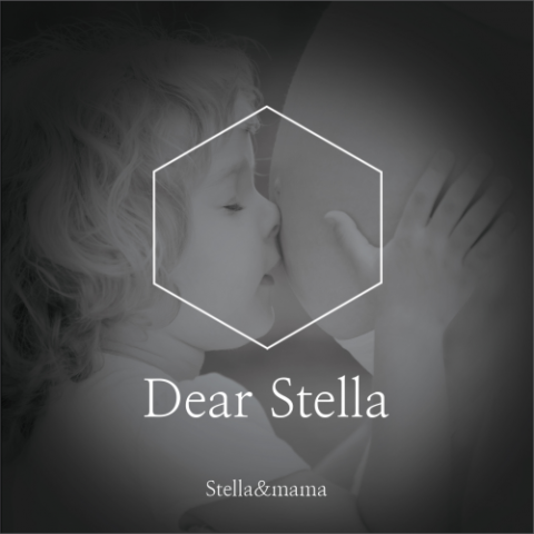 디어스텔라(DEAR STELLA) 이미지