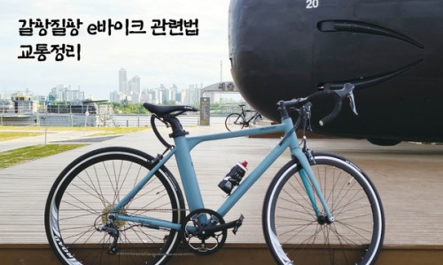 이바이크2020 이미지