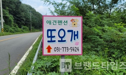 또오개 이미지