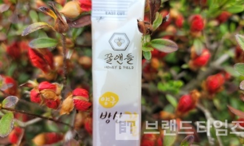 법인로컬랜드 이미지