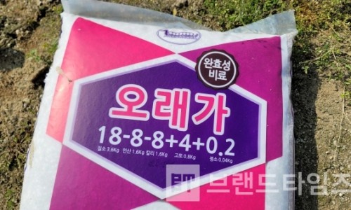 오래가 이미지