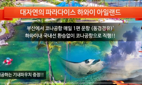(주)큐브여행사 이미지