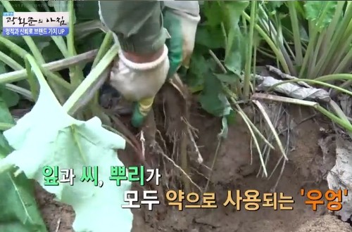 조선농산 이미지