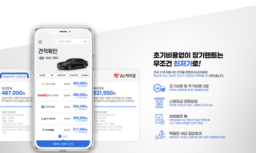 카플렉스 이미지