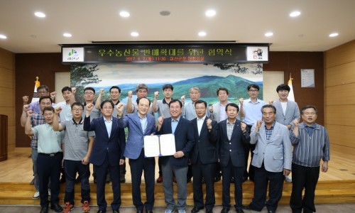 충북청과 이미지