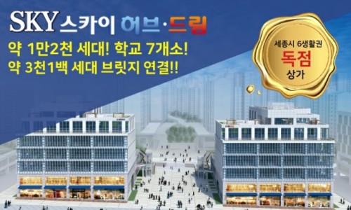 스카이드림 이미지