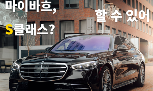 비바VIVA-S 이미지