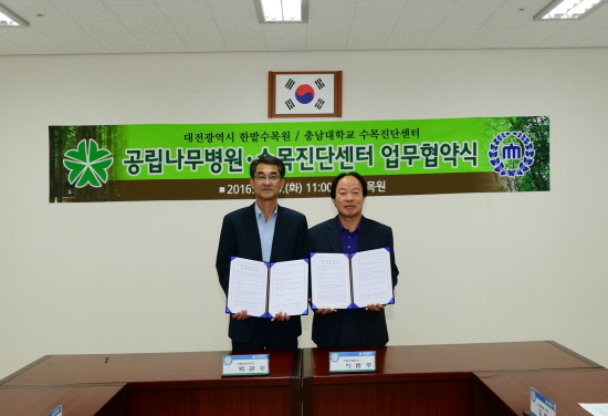 수목관리 이미지