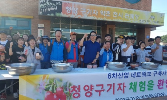 청양구기자 이미지