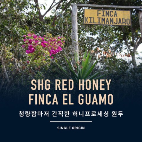 챕터원 이미지