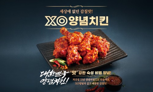처갓집양념치킨경남 이미지