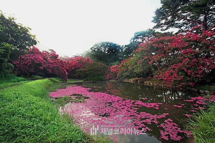 도시락이야기 이미지