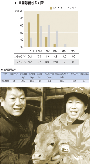 천하종합사료 이미지