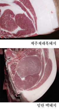 제주흑돼지 이미지