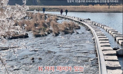 벚꽃역 이미지