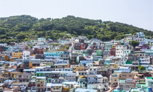 시빅주 이미지