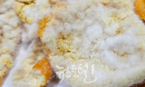 전통장발효연구원 이미지