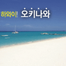 찰리정투어주 이미지