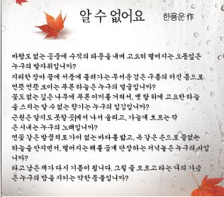 세상이야기 이미지