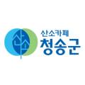 대성이엔씨주 이미지