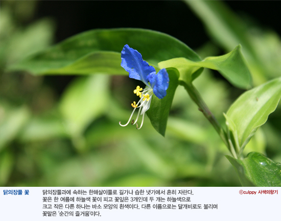 백산이엔씨 이미지