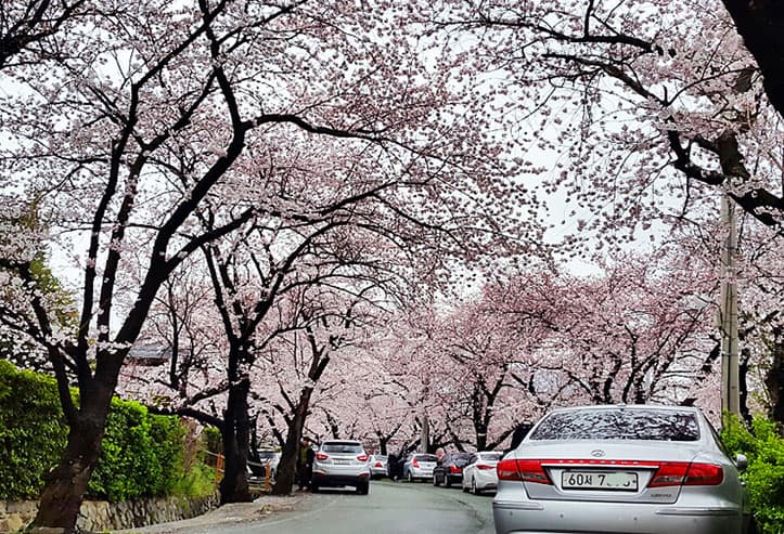 영해다방 이미지