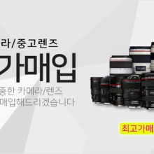 DC클럽 이미지